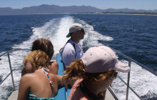 Ivanhoe Sea Safaris1