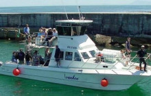 Ivanhoe Sea Safaris5