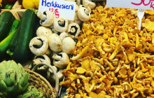 Helsinki Tour (Lenoni Oy)3