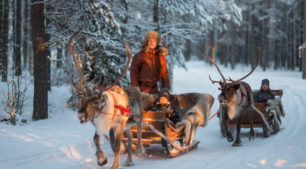Santa's Village Adventure: Husky, Reindeer, Buffet, and Certificate