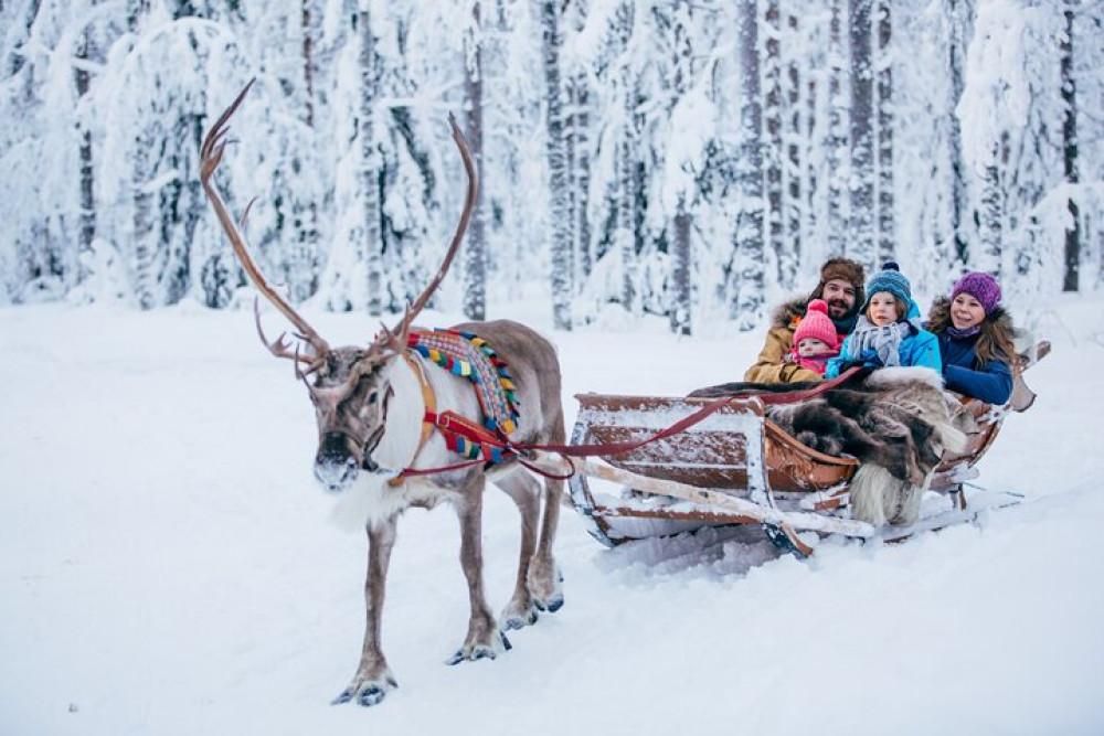 Santa Claus Village: Husky and Reindeer Combo with Hotel Transfer