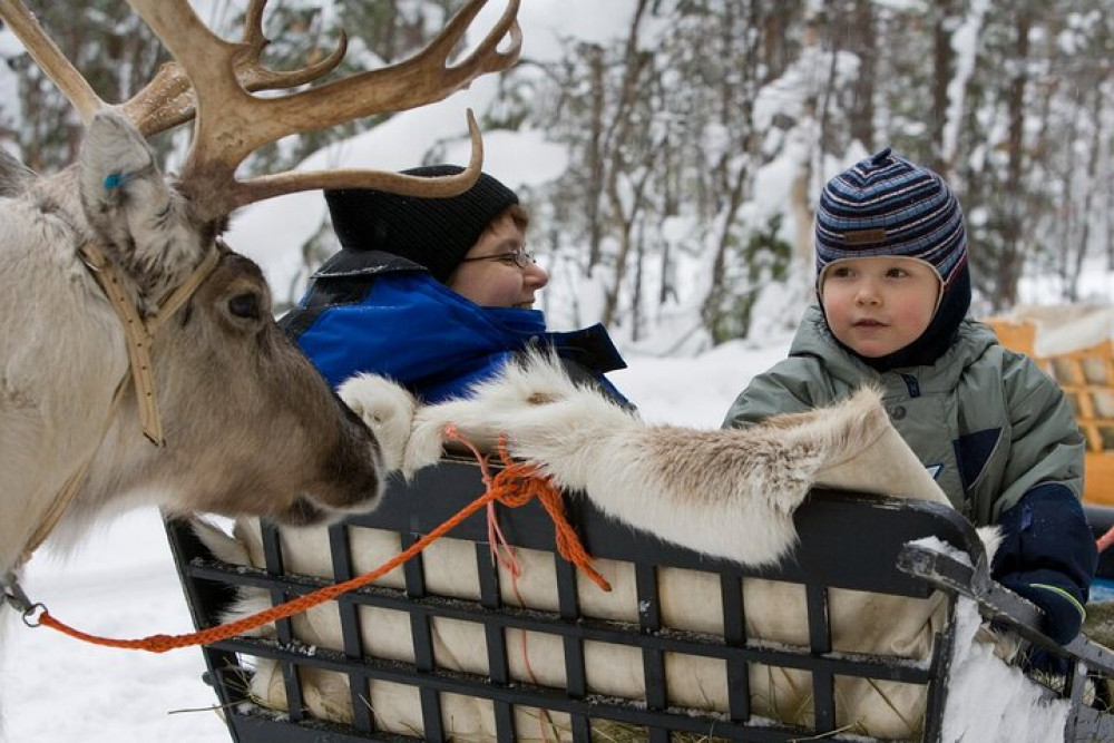 Santa Claus Village Day Tour with Hotel Pick up & Drop off