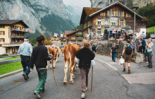 Swisstours Transport2