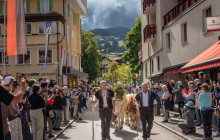 Swisstours Transport3