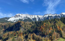 Swisstours Transport8