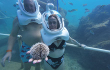 Rainforest Adventures St Maarten7