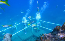 Rainforest Adventures St Maarten8