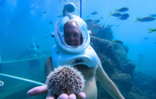 Rainforest Adventures St Maarten5