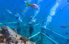 Rainforest Adventures St Maarten9