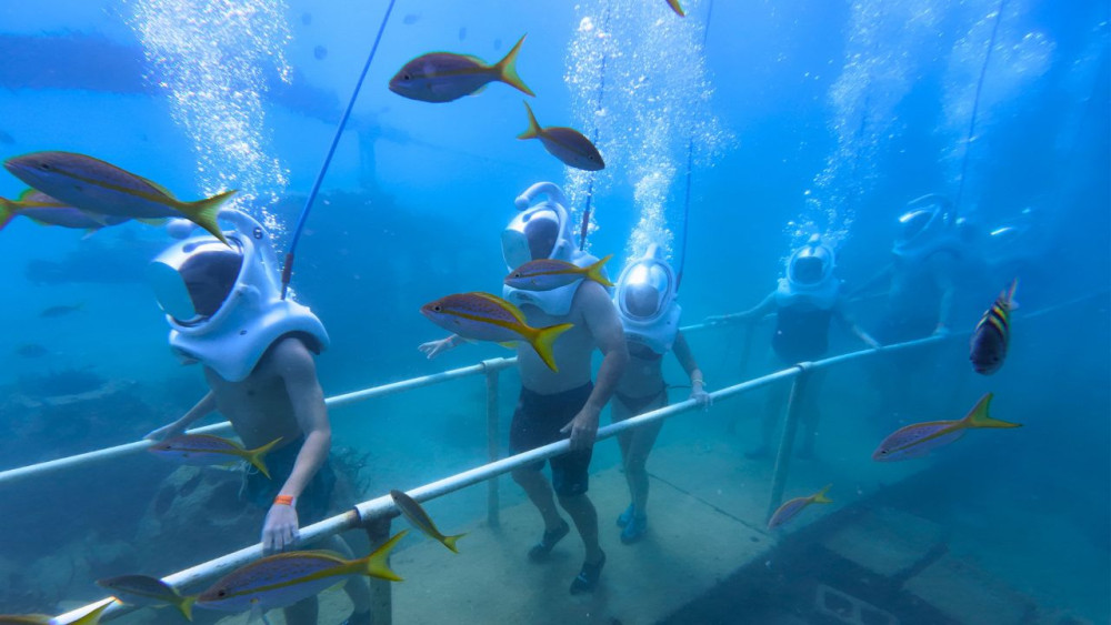 Rainforest Adventures St Maarten