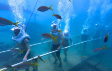 Rainforest Adventures St Maarten10