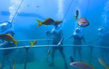 Rainforest Adventures St Maarten9