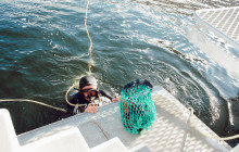 Tasmanian Wild Seafood Adventures2