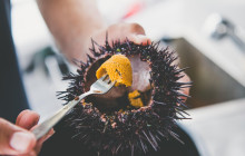 Tasmanian Wild Seafood Adventures4
