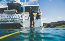 Tasmanian Wild Seafood Adventures7