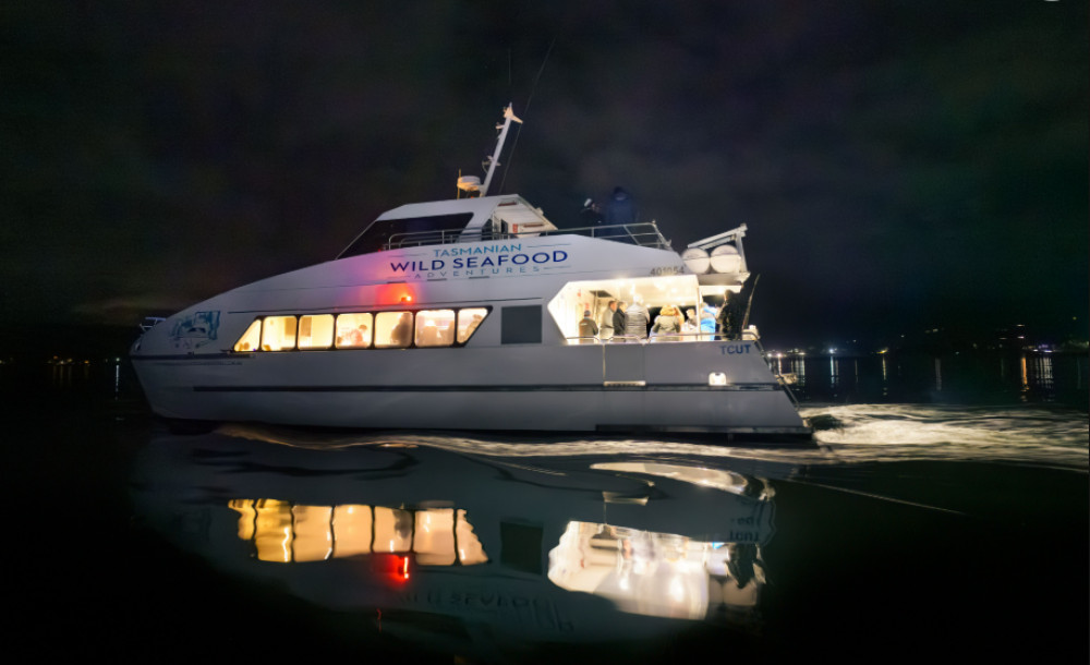 Tasmanian Sea to Sky Night Cruise with Local Seafood & Aurora Hunt