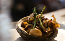 Tasmanian Wild Seafood Adventures14