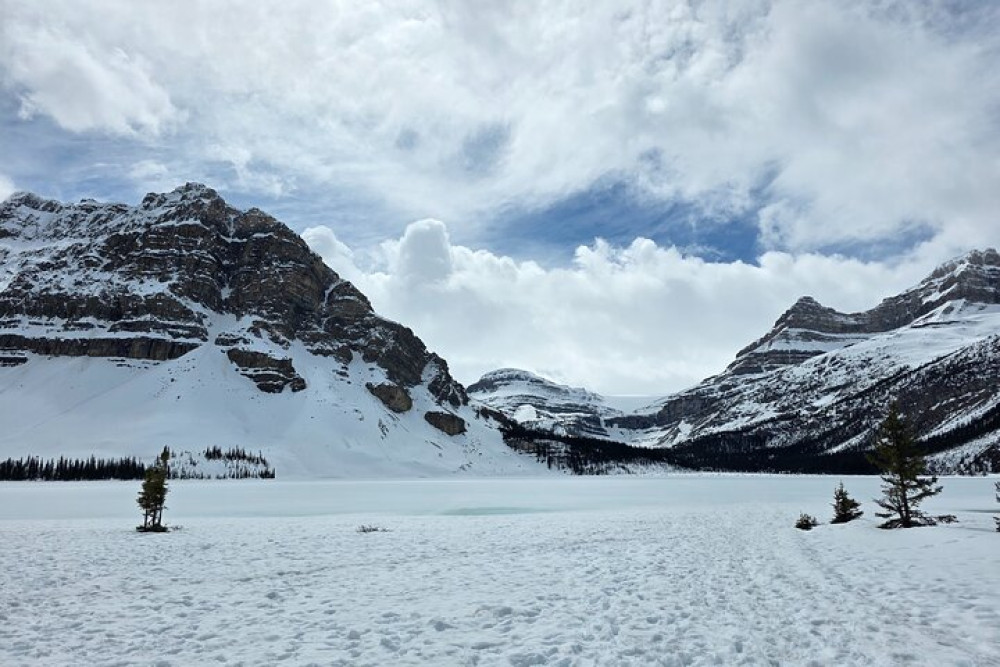 Private Vip Columbia Icefield & Icefields Parkway Tour