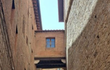Letango Tours1