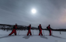Wandering Owl - Finland1