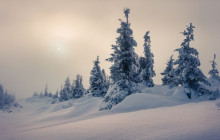 Wandering Owl - Finland6