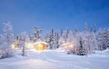 Wandering Owl - Finland3
