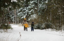Wandering Owl - Finland16