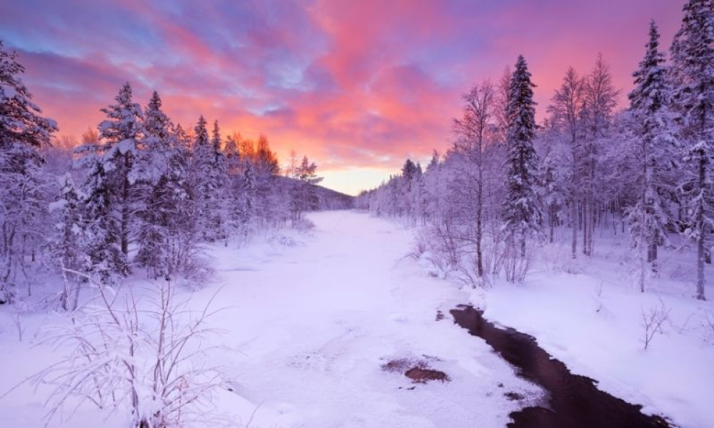 Rovaniemi - Levi Photography Transfer with Iconic Photoshoot