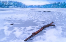 Wandering Owl - Finland14