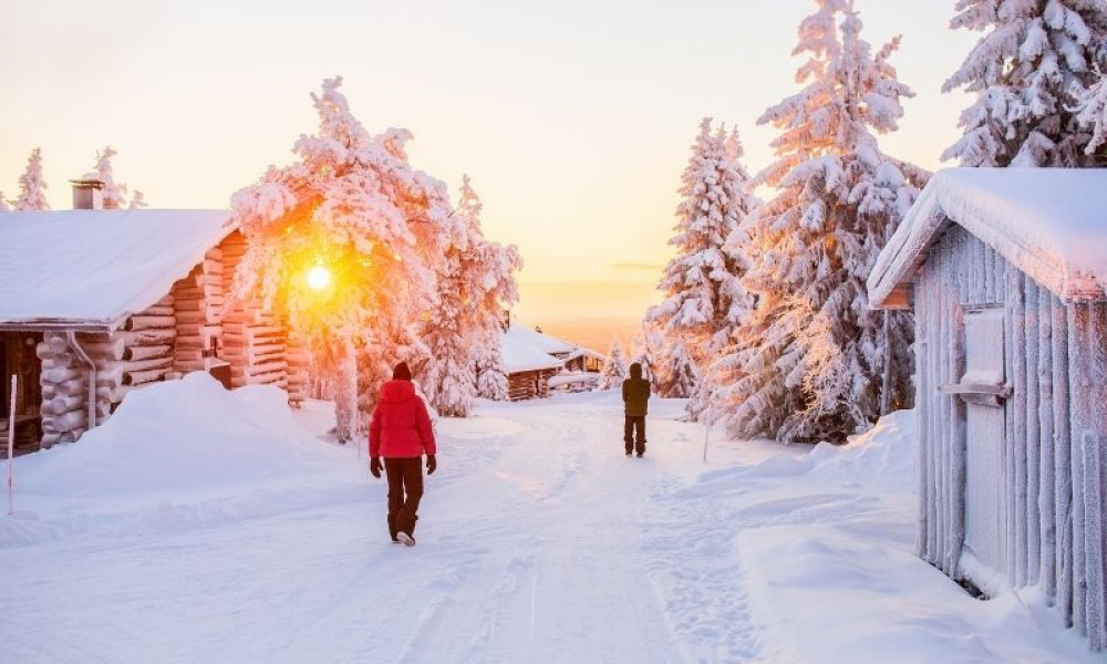 Rovaniemi - Levi Snowshoeing Transfer Experience