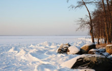 Wandering Owl - Finland9