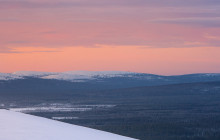 Wandering Owl - Finland6