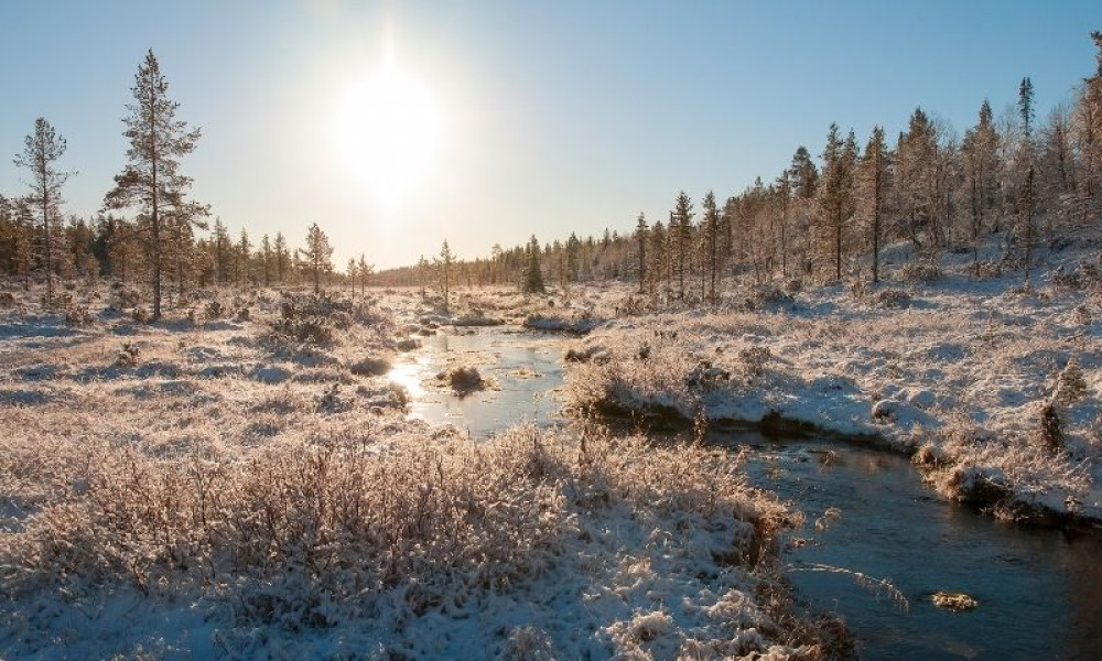 Levi - Rovaniemi Adventure Transfer For Families