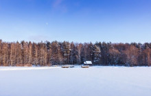Wandering Owl - Finland4