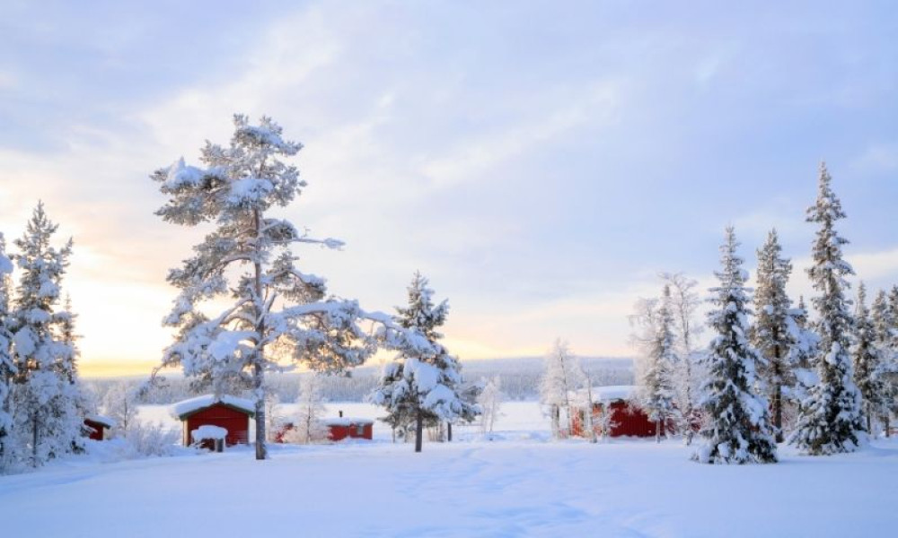 Levi - Rovaniemi Snowshoeing Transfer Experience
