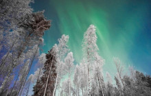 Wandering Owl - Finland4