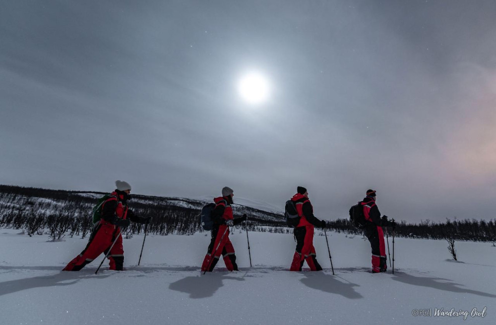 Night Star Walk on Snowshoes in the Finnish Wilderness