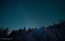 Wandering Owl - Finland13