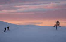 Wandering Owl - Finland7