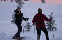 Wandering Owl - Finland15