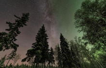 Wandering Owl - Finland8