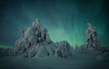 Wandering Owl - Finland8
