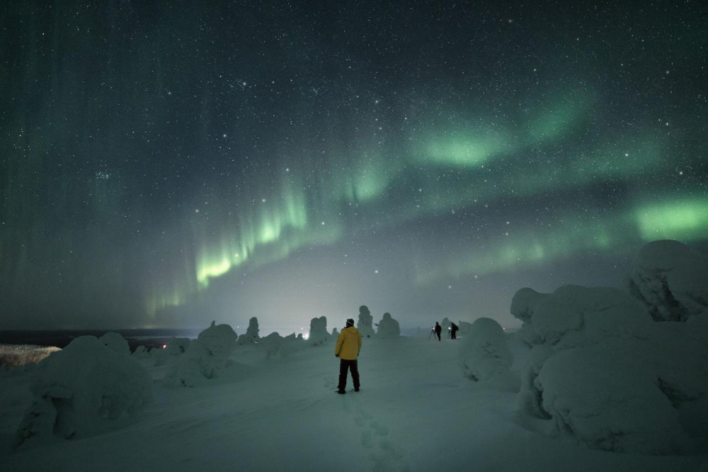 Adults Only: Aurora Hunt with Snowshoeing in the Wilderness