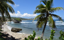 Beautiful Barbados Tours and Excursions Ltd11