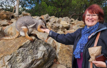 Discover Adelaide Tours3