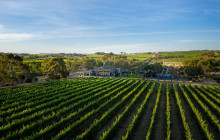 Discover Adelaide Tours5