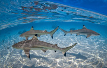 Raiatea Blue Lagoon5
