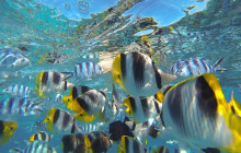 Raiatea Blue Lagoon11