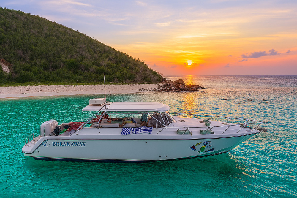 Cocktail Sunset Cruise from Sapphire Beach Resort