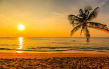 New Horizons & Breakaway Charters2